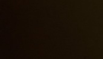 Black Brown 5818